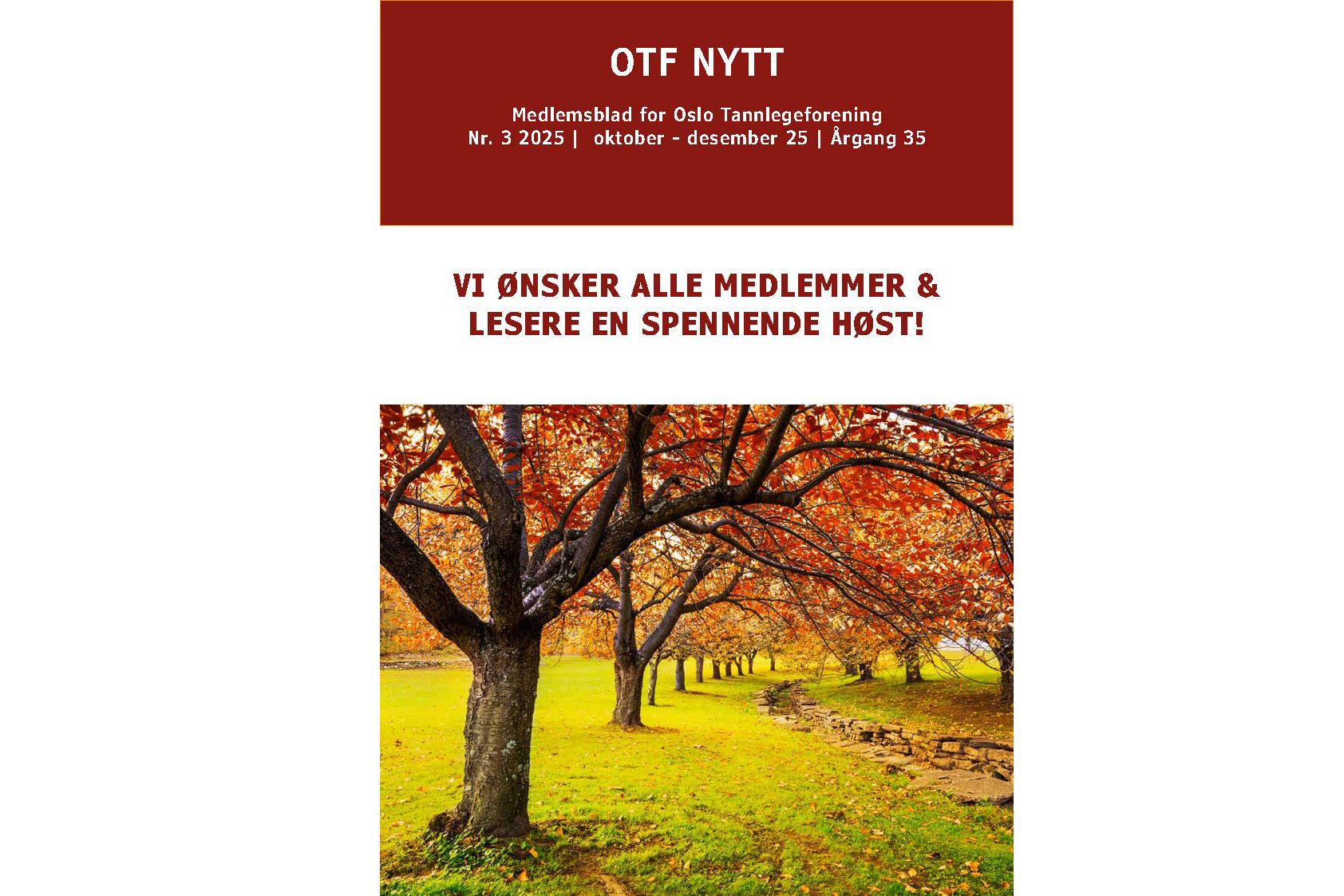 Høstens utgave av OTF-nytt er publisert!